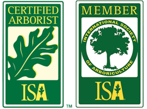 Certified arborist ISA