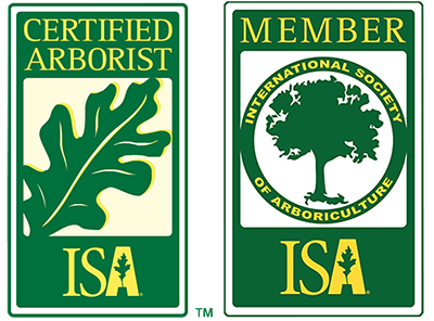 Certified arborist ISA