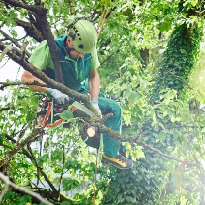 A man in a helmet climbing a tree.