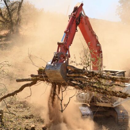 A Quick Guide to Clearing Land for Your Business