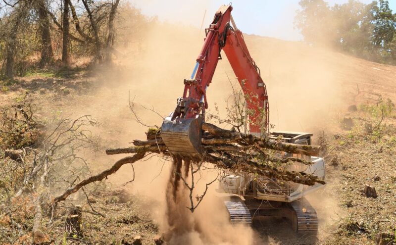 A Quick Guide to Clearing Land for Your Business