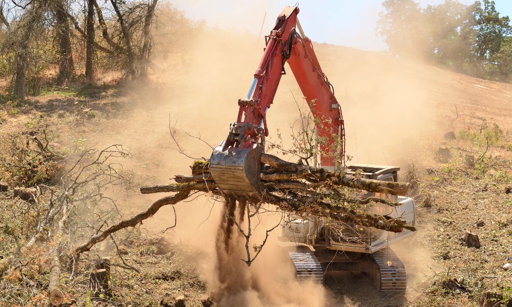 A Quick Guide to Clearing Land for Your Business