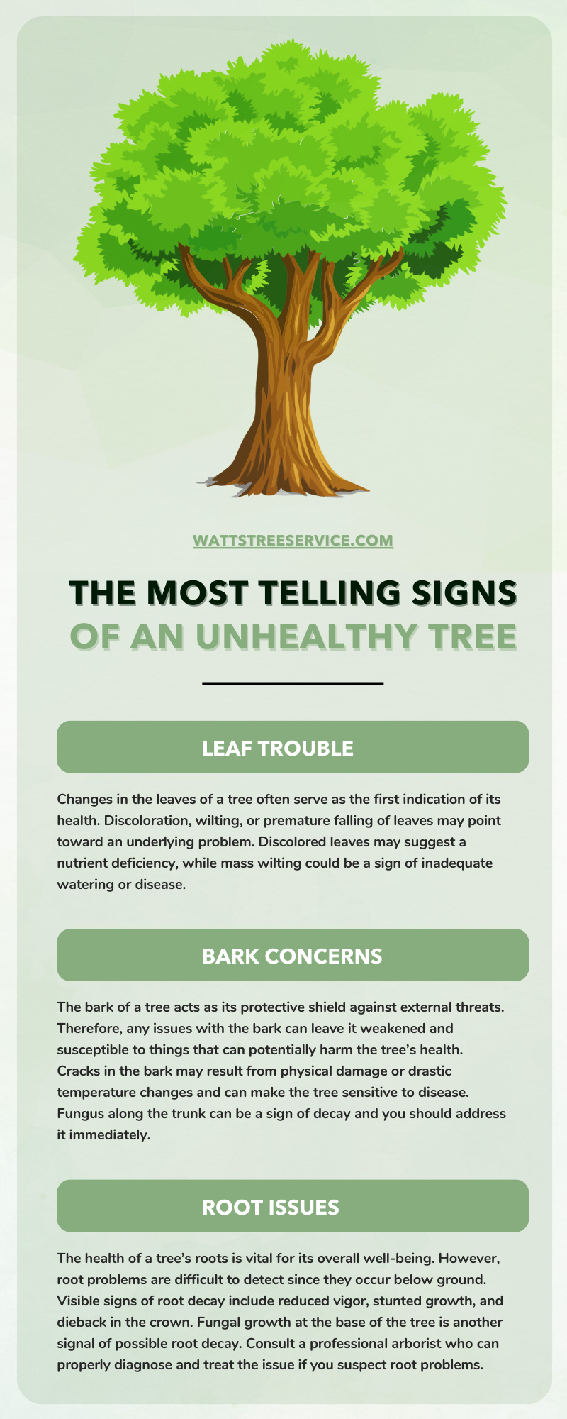 The Most Telling Signs of an Unhealthy Tree
