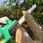 Exploring Different Tree Pruning & Trimming Techniques