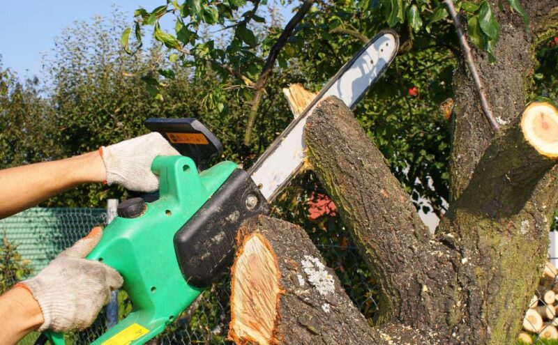 Exploring Different Tree Pruning & Trimming Techniques