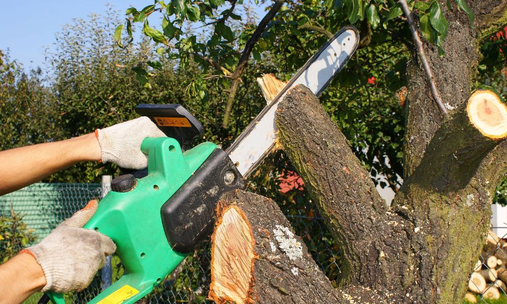 Exploring Different Tree Pruning & Trimming Techniques