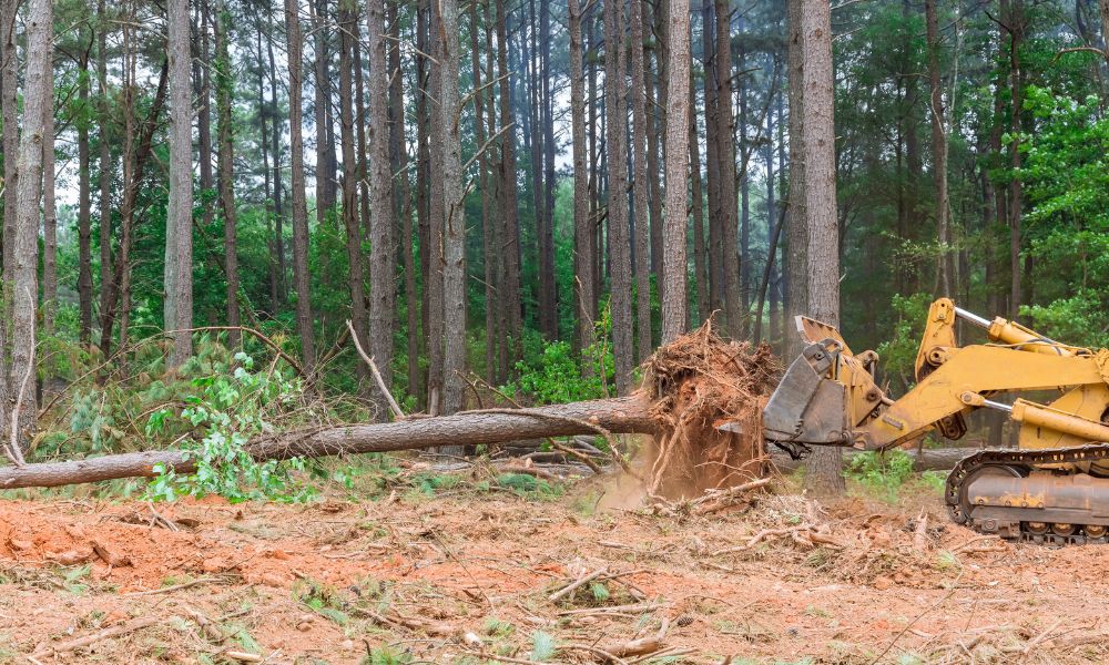 When Is Commercial Land Clearing Necessary?