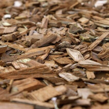 The Benefits and Applications of Forestry Mulching