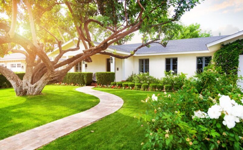 All About the Impact of Trees on Residential Property Value