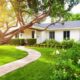 All About the Impact of Trees on Residential Property Value