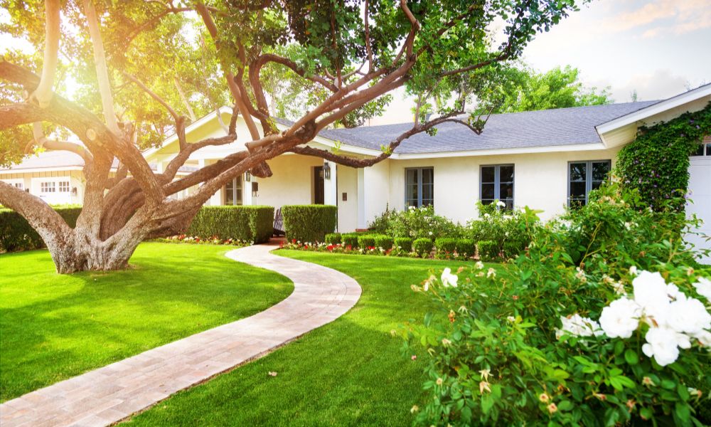 All About the Impact of Trees on Residential Property Value