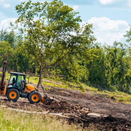 Yellow bulldozer clearing land at a construction site within a forest area surrounded by mature trees and plants