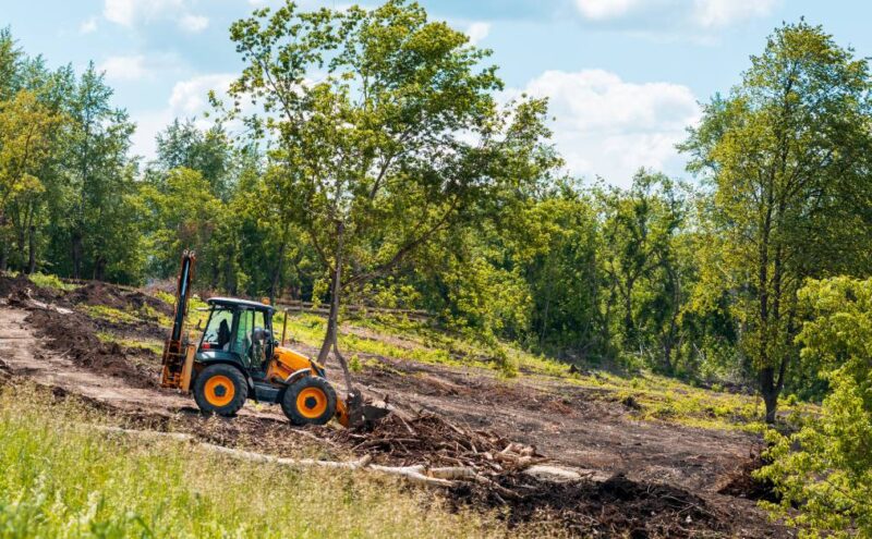 Yellow bulldozer clearing land at a construction site within a forest area surrounded by mature trees and plants