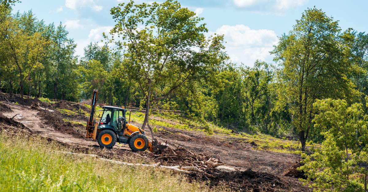 Yellow bulldozer clearing land at a construction site within a forest area surrounded by mature trees and plants