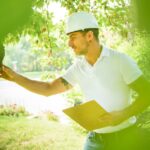 What To Expect During a Professional Tree Risk Assessment