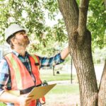 Professional arborist in reflective vest and hardhat performing a tree inspection on a tree on a residential property