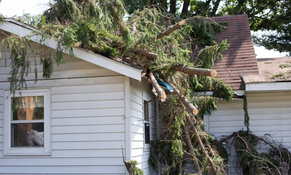 White residential house experiencing property damage from large falling tree branches onto the roof from a storm