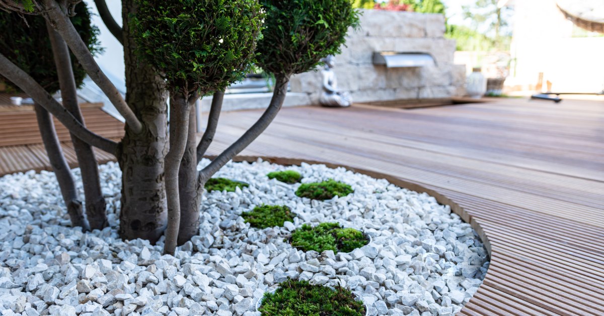 A circle of light-colored stone mulch surrounding a tree next to a wooden deck with other plants in the background.