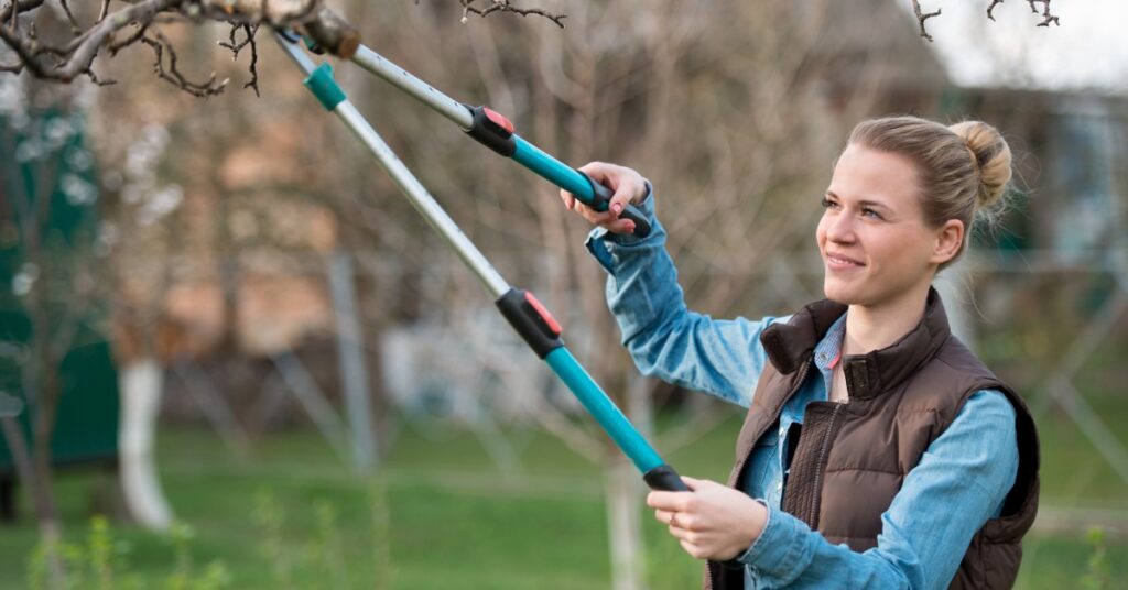 A smiling woman with her hair in a bun using a long cutting tool to prune and trim a trim branch from a tree.