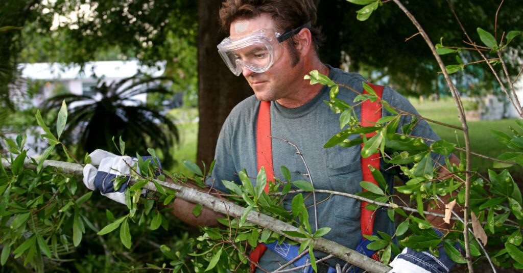 A man wearing the proper safety goggles and gloves while carrying a branch that was removed from a tree.