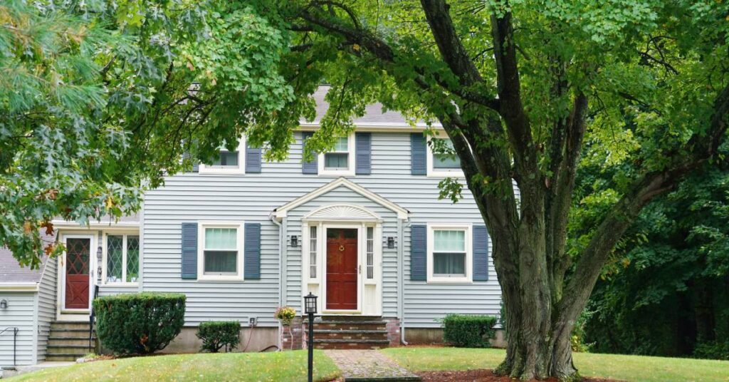 A large mature tree surrounded by mulch sits next to the sidewalk in the front yard of a beautiful blue house.