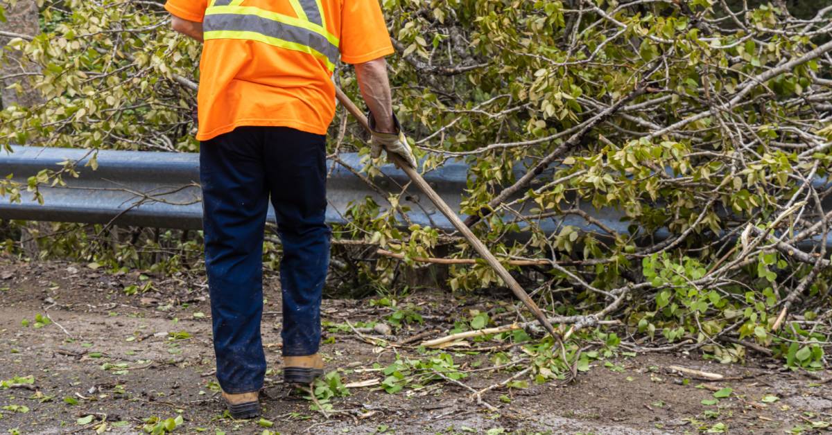 A person wearing an orange high-visibility T-shirt and work gloves uses a tool to clean up branches from the road.